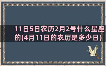 11日5日农历2月2号什么星座的(4月11日的农历是多少日)