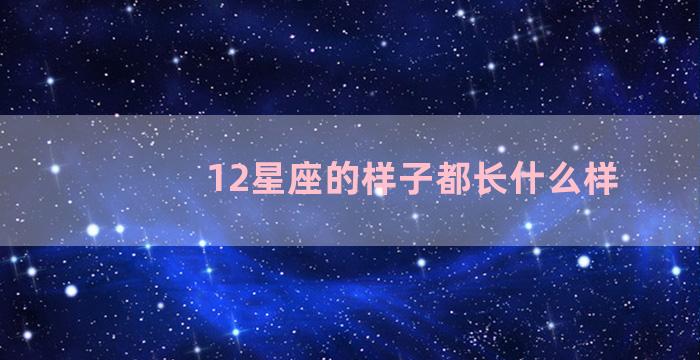 12星座的样子都长什么样