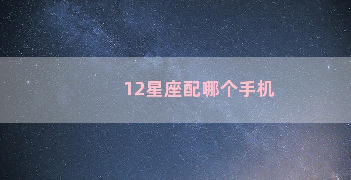 12星座配哪个手机