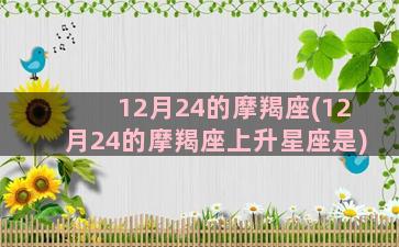 12月24的摩羯座(12月24的摩羯座上升星座是)