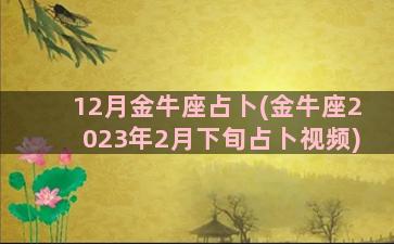 12月金牛座占卜(金牛座2023年2月下旬占卜视频)