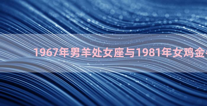 1967年男羊处女座与1981年女鸡金牛座婚配