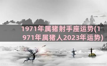 1971年属猪射手座运势(1971年属猪人2023年运势)