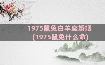 1975鼠兔白羊座婚姻(1975鼠兔什么命)