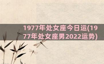 1977年处女座今日运(1977年处女座男2022运势)