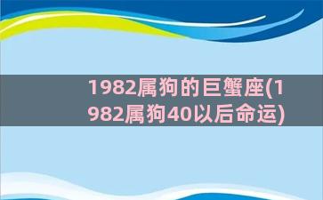 1982属狗的巨蟹座(1982属狗40以后命运)