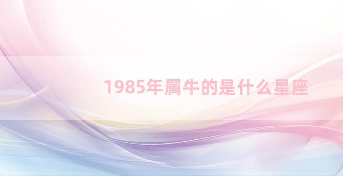 1985年属牛的是什么星座