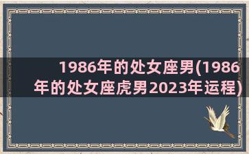 1986年的处女座男(1986年的处女座虎男2023年运程)