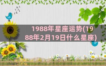 1988年星座运势(1988年2月19日什么星座)