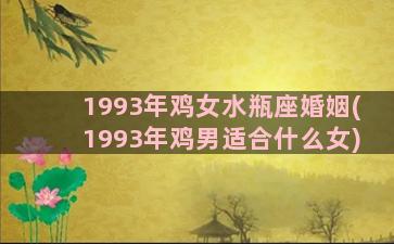 1993年鸡女水瓶座婚姻(1993年鸡男适合什么女)