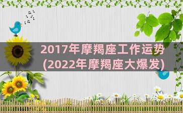 2017年摩羯座工作运势(2022年摩羯座大爆发)