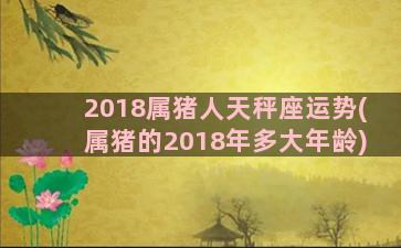 2018属猪人天秤座运势(属猪的2018年多大年龄)