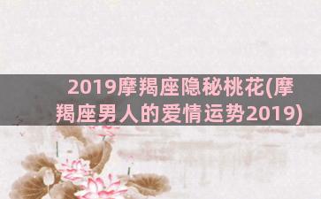 2019摩羯座隐秘桃花(摩羯座男人的爱情运势2019)