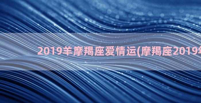 2019羊摩羯座爱情运(摩羯座2019年运势)