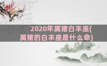 2020年属猪白羊座(属猪的白羊座是什么命)