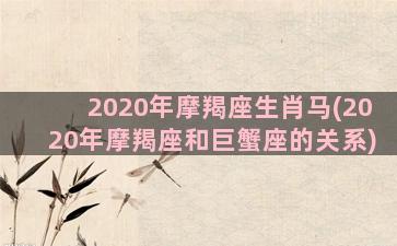 2020年摩羯座生肖马(2020年摩羯座和巨蟹座的关系)