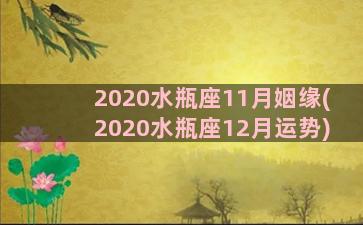 2020水瓶座11月姻缘(2020水瓶座12月运势)