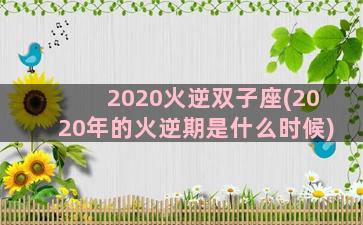 2020火逆双子座(2020年的火逆期是什么时候)