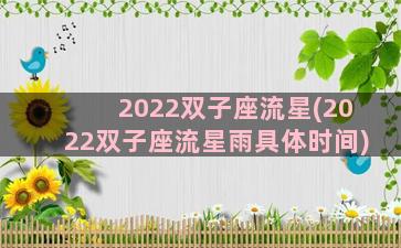 2022双子座流星(2022双子座流星雨具体时间)