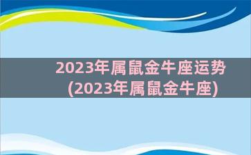 2023年属鼠金牛座运势(2023年属鼠金牛座)