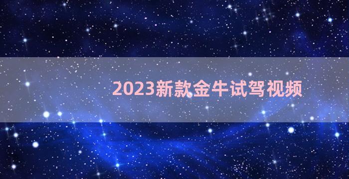 2023新款金牛试驾视频