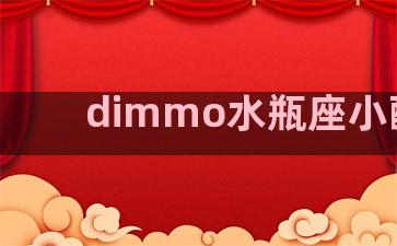 dimmo水瓶座小配件