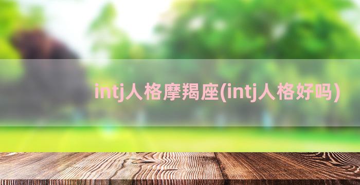 intj人格摩羯座(intj人格好吗)