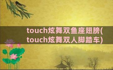 touch炫舞双鱼座翅膀(touch炫舞双人脚踏车)