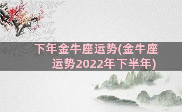 下年金牛座运势(金牛座运势2022年下半年)