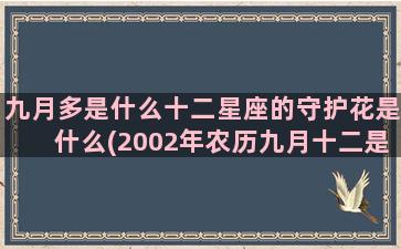 九月多是什么十二星座的守护花是什么(2002年农历九月十二是什么命)