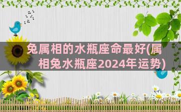 兔属相的水瓶座命最好(属相兔水瓶座2024年运势)