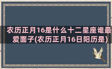 农历正月16是什么十二星座谁最爱面子(农历正月16日阳历是)