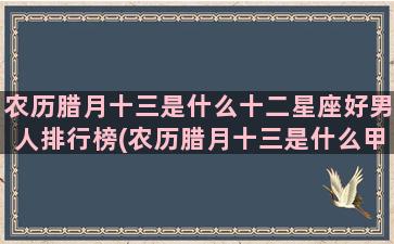 农历腊月十三是什么十二星座好男人排行榜(农历腊月十三是什么甲子)