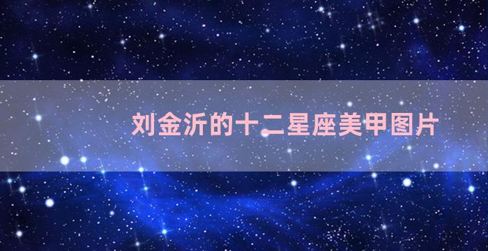 刘金沂的十二星座美甲图片