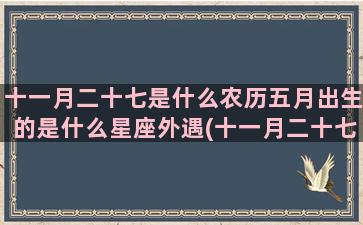 十一月二十七是什么农历五月出生的是什么星座外遇(十一月二十七是什么命)