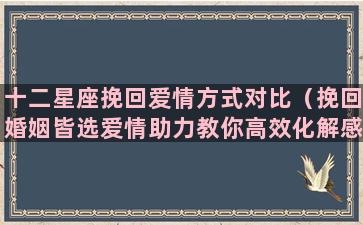 十二星座挽回爱情方式对比（挽回婚姻皆选爱情助力教你高效化解感情危机）