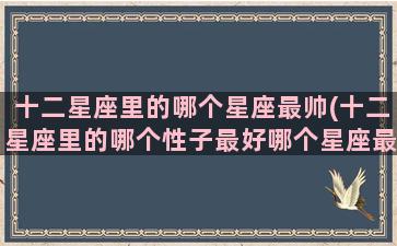 十二星座里的哪个星座最帅(十二星座里的哪个性子最好哪个星座最可爱)