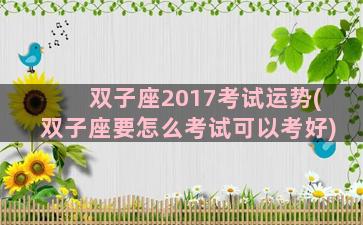 双子座2017考试运势(双子座要怎么考试可以考好)