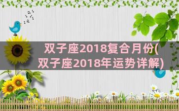 双子座2018复合月份(双子座2018年运势详解)