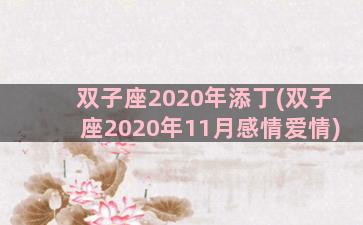 双子座2020年添丁(双子座2020年11月感情爱情)