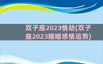 双子座2023情劫(双子座2023婚姻感情运势)