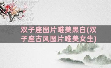 双子座图片唯美黑白(双子座古风图片唯美女生)