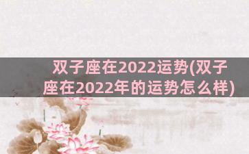 双子座在2022运势(双子座在2022年的运势怎么样)