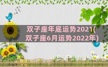 双子座年底运势2021(双子座6月运势2022年)