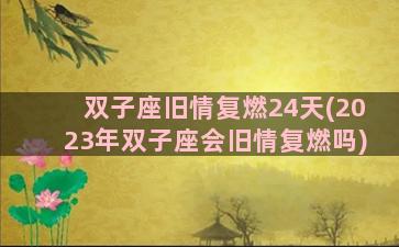 双子座旧情复燃24天(2023年双子座会旧情复燃吗)