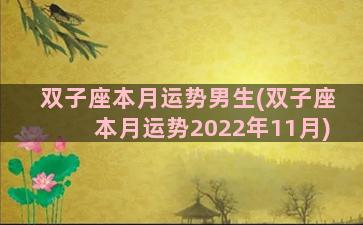 双子座本月运势男生(双子座本月运势2022年11月)