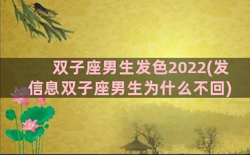 双子座男生发色2022(发信息双子座男生为什么不回)