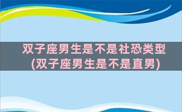 双子座男生是不是社恐类型(双子座男生是不是直男)