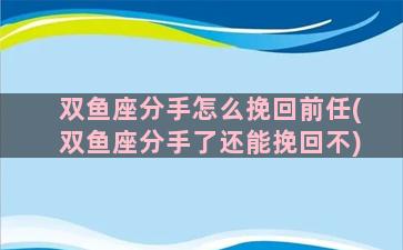 双鱼座分手怎么挽回前任(双鱼座分手了还能挽回不)