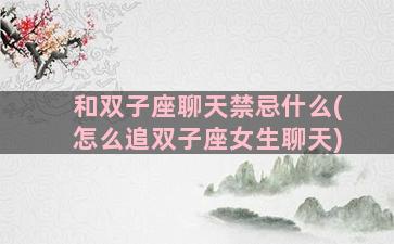 和双子座聊天禁忌什么(怎么追双子座女生聊天)